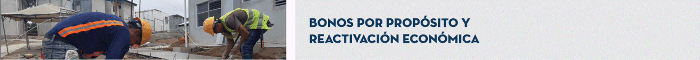 Título: Bonos por Propósito y Reactivación Económica.